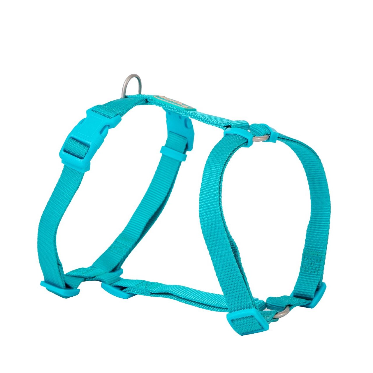 Basic Nylon Harness - Turquoise