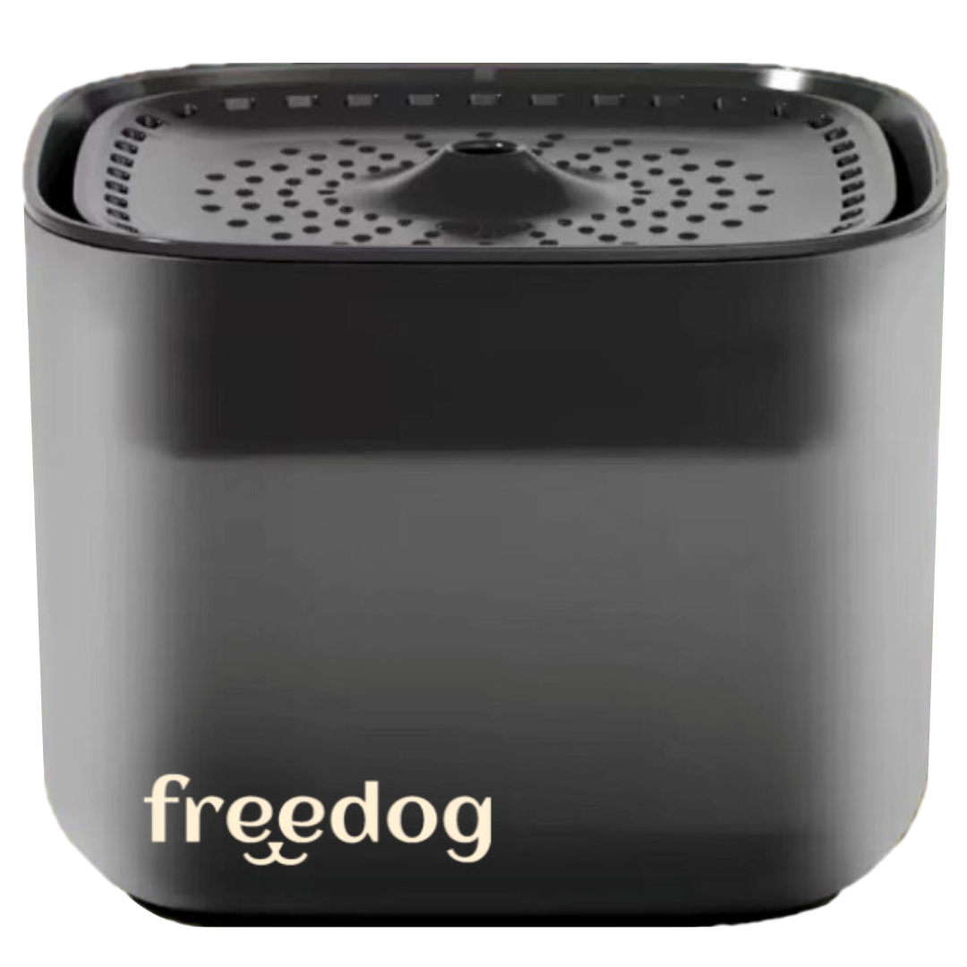 Freeflow Automatic Water Fountain - Black