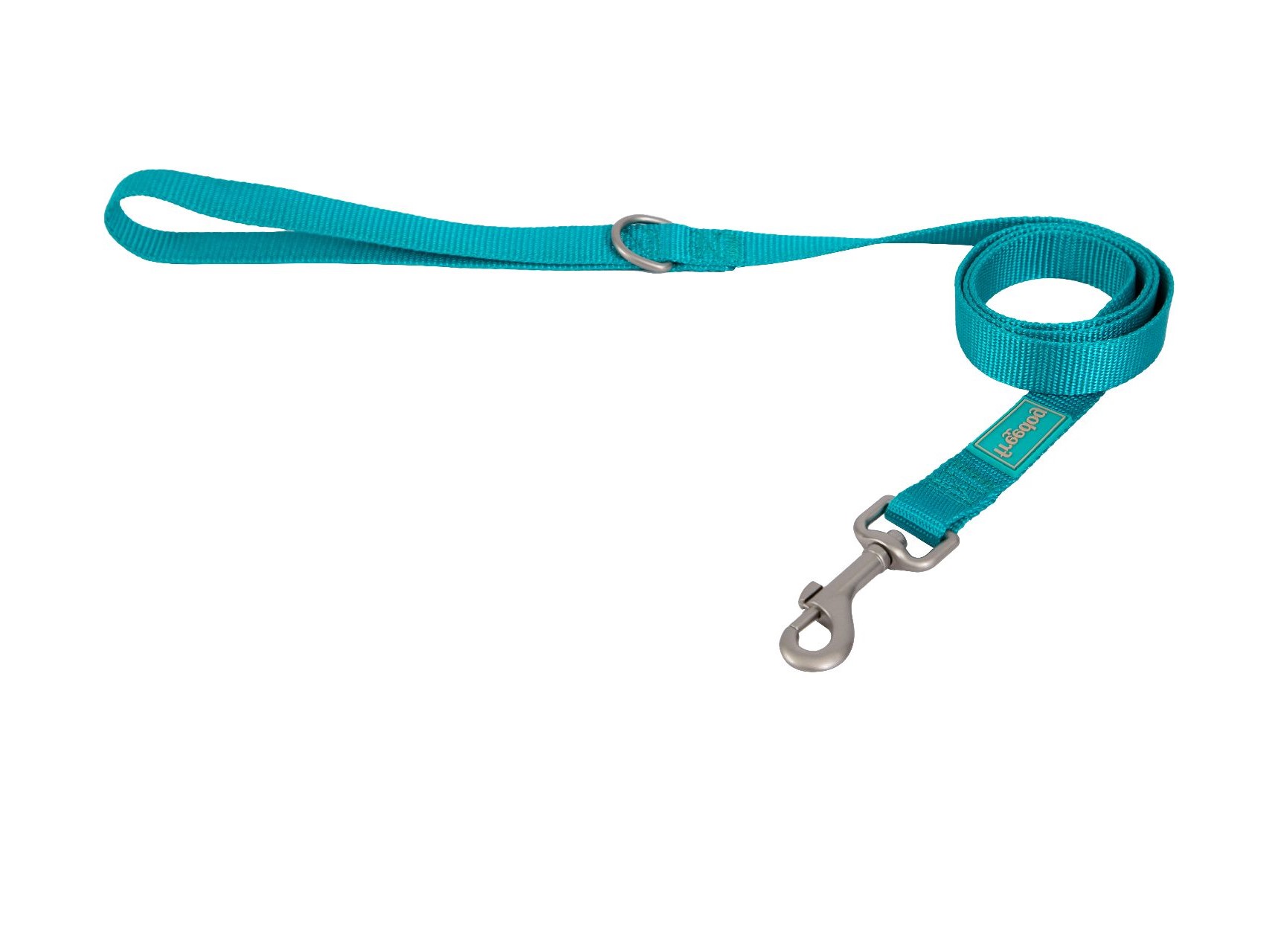 Basic Nylon Leash - Turquoise