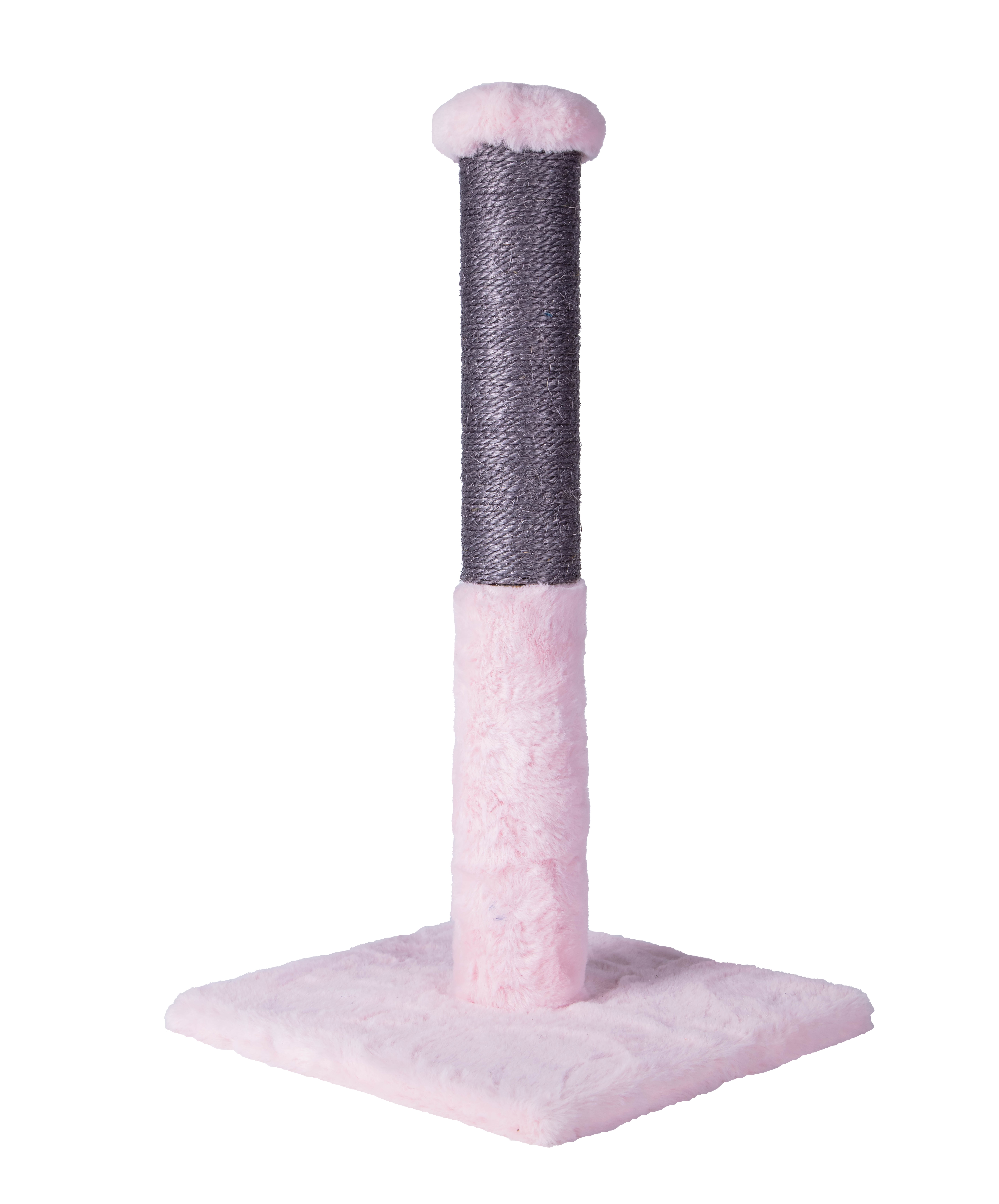 Basic Scratcher