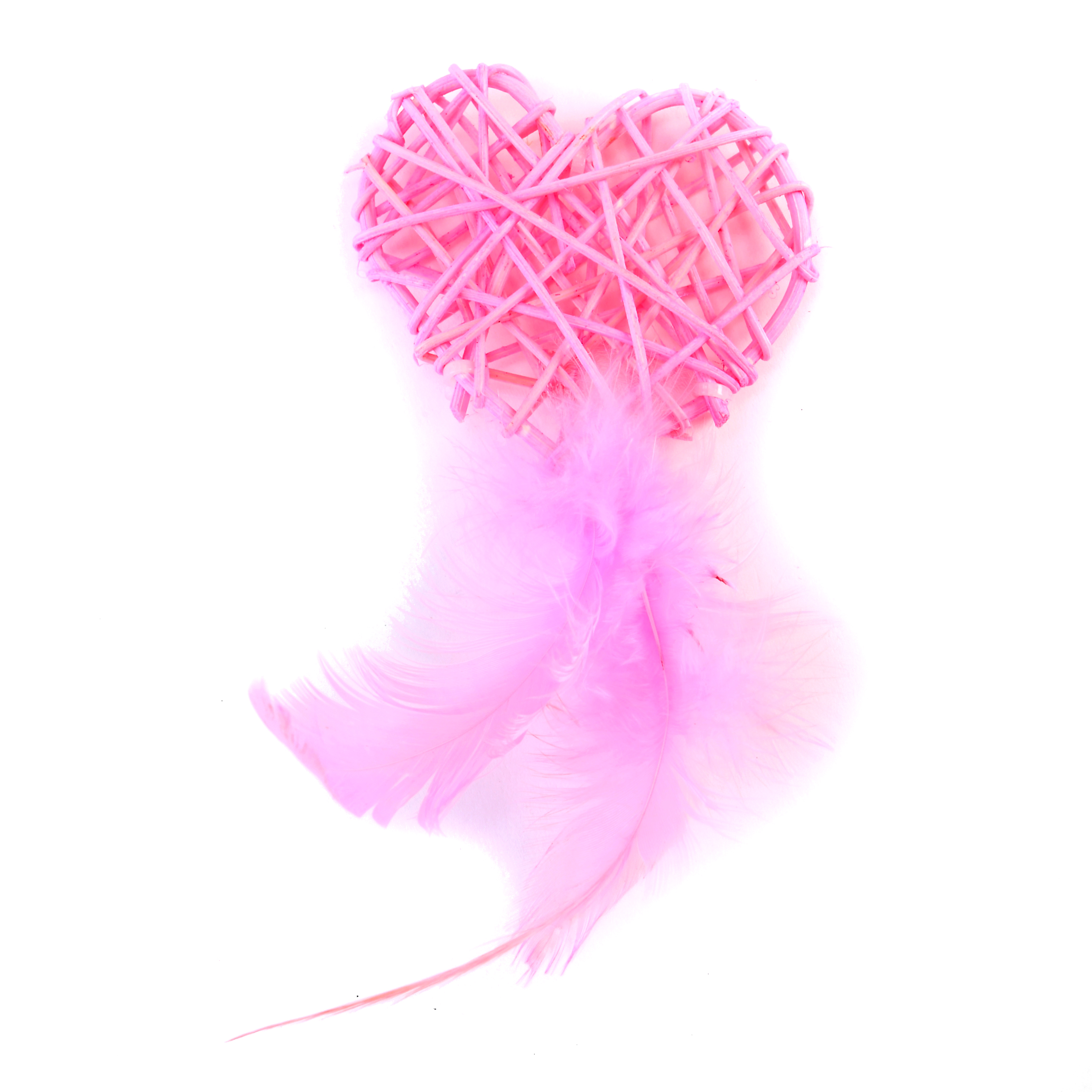 Heart With Feathers - Pink
