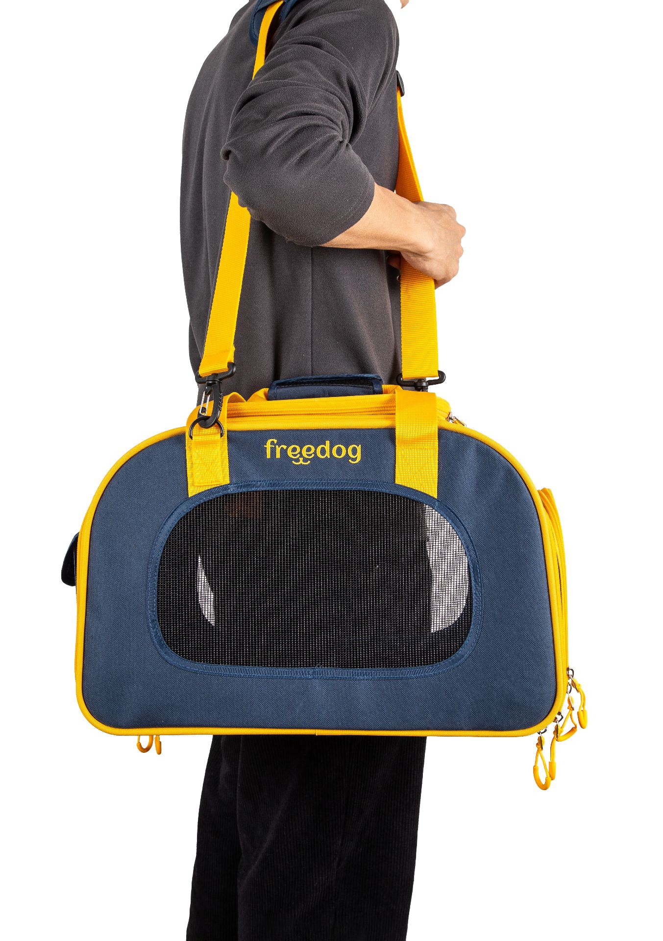 TravelTails Pet Carrier