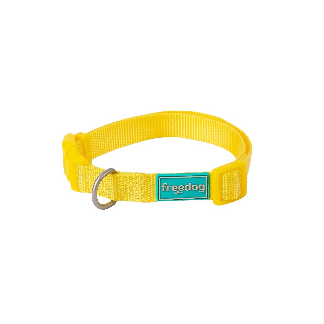 Basic Nylon Collar