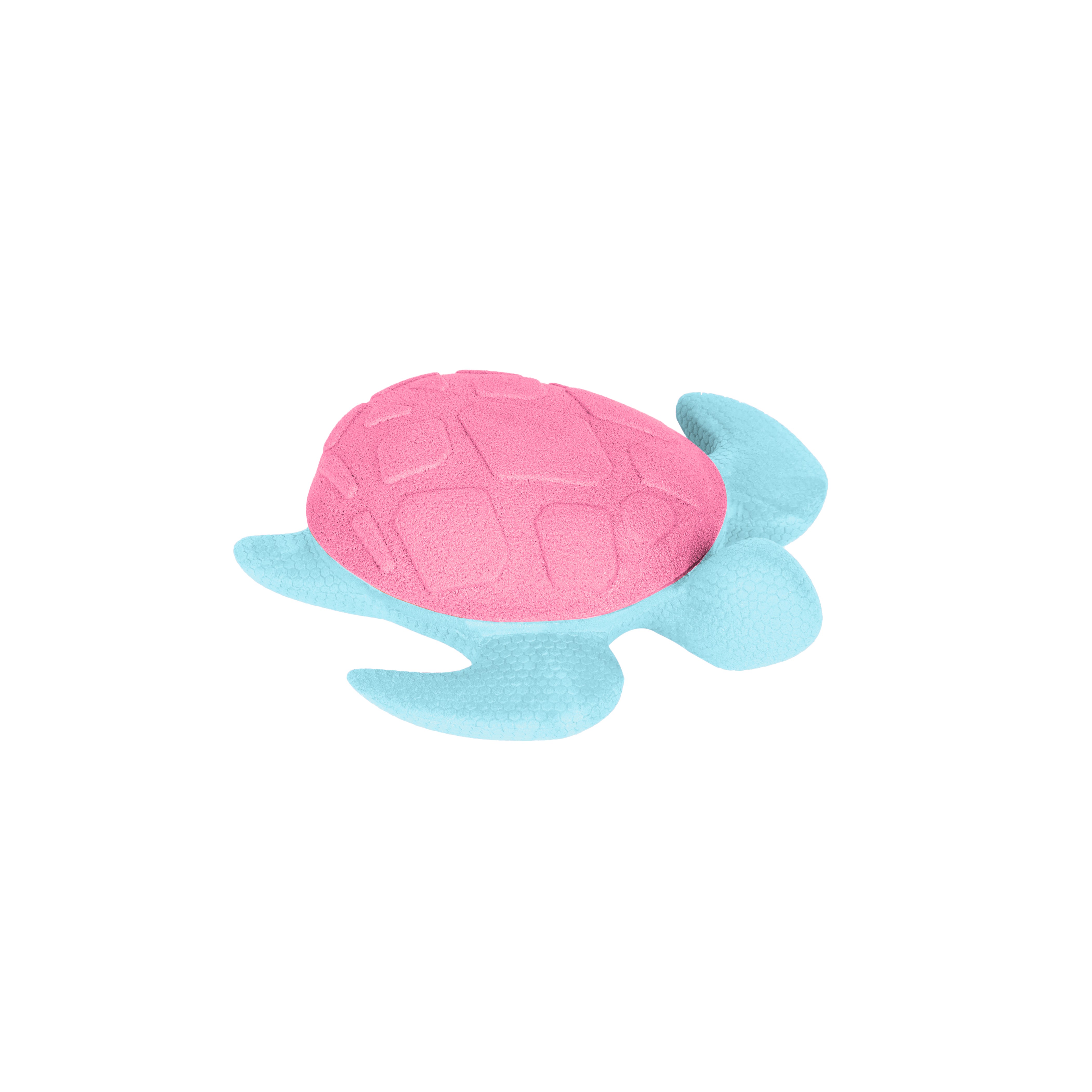 Mini Turtles