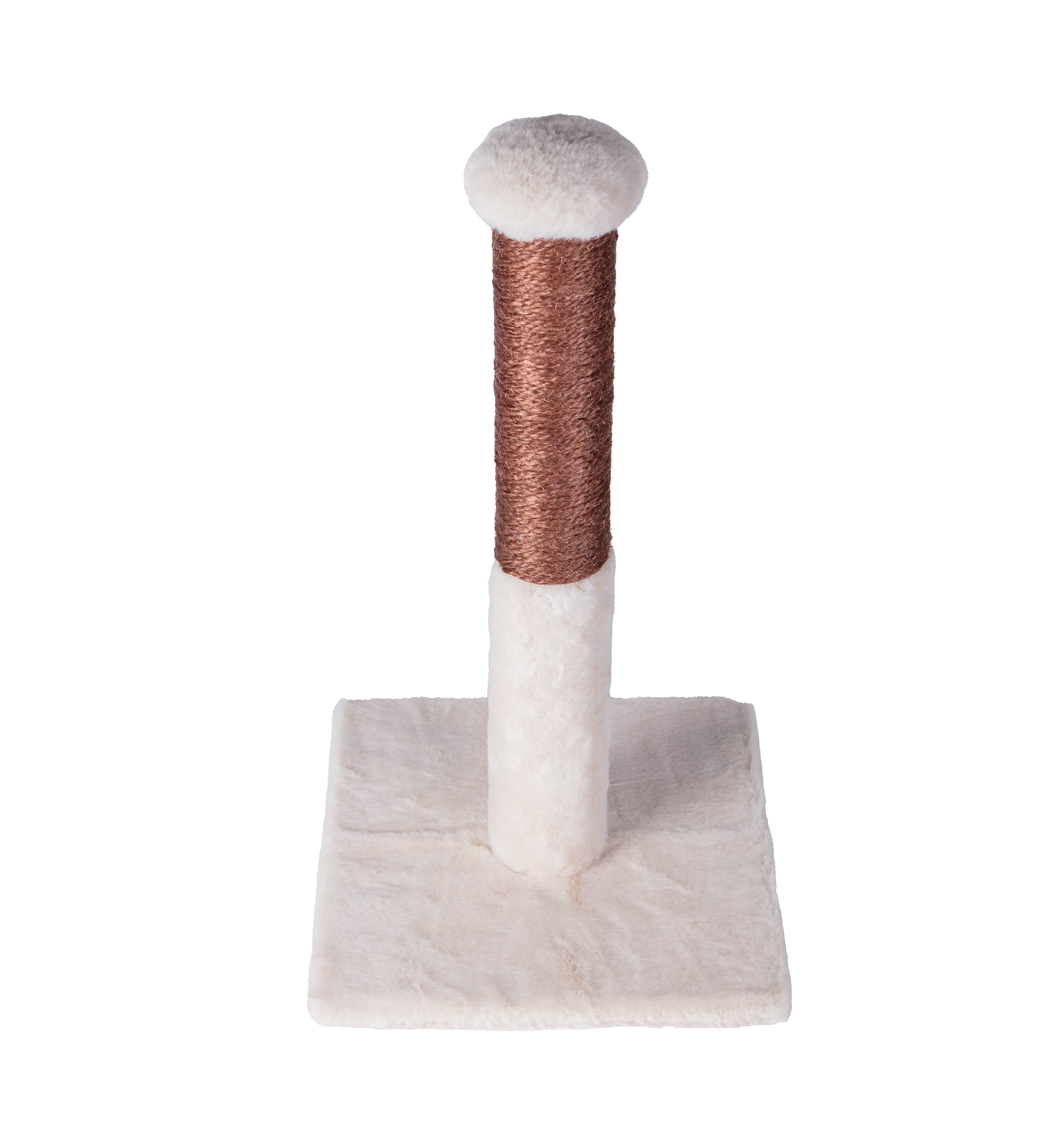 Basic Scratcher