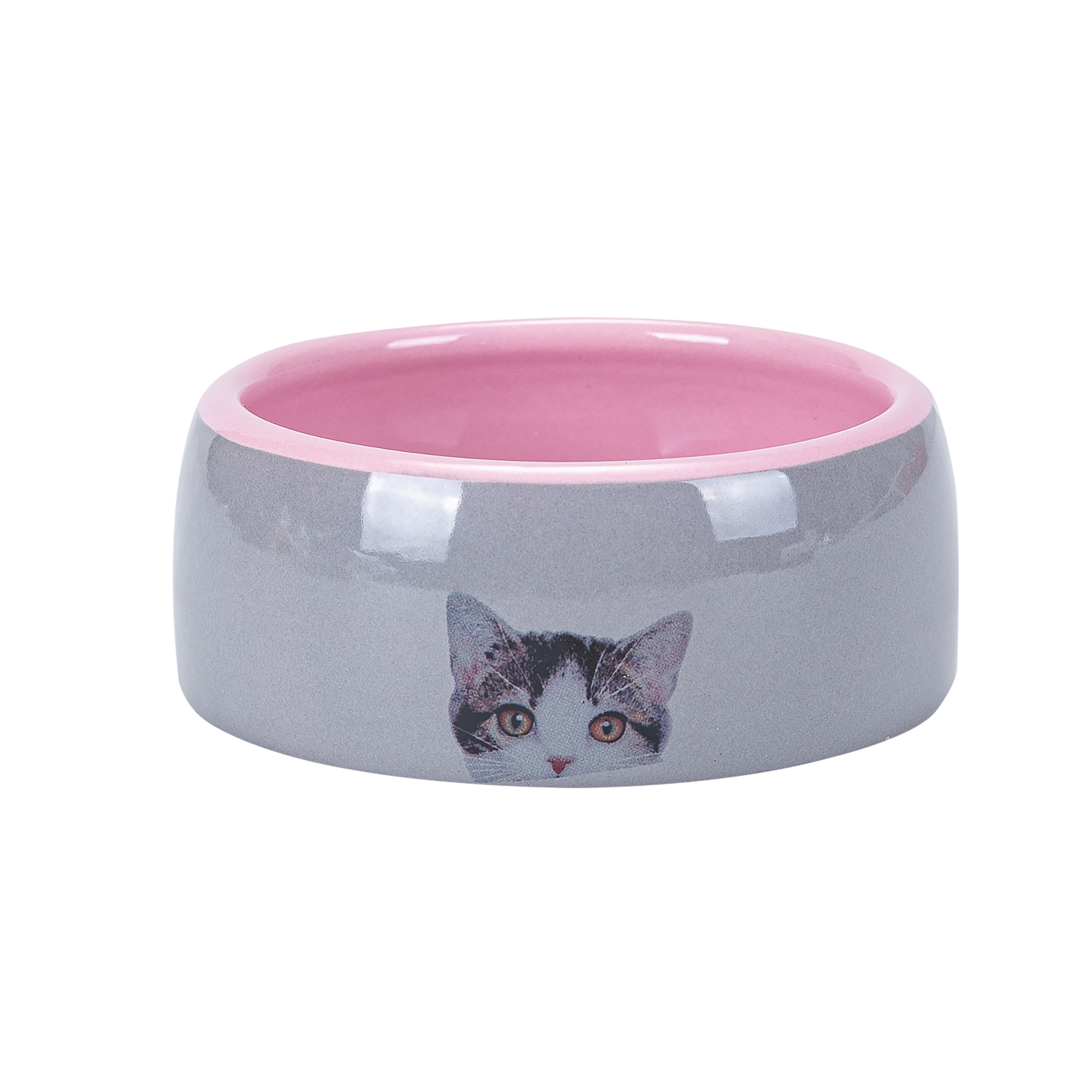 Tabby Cat Bowl