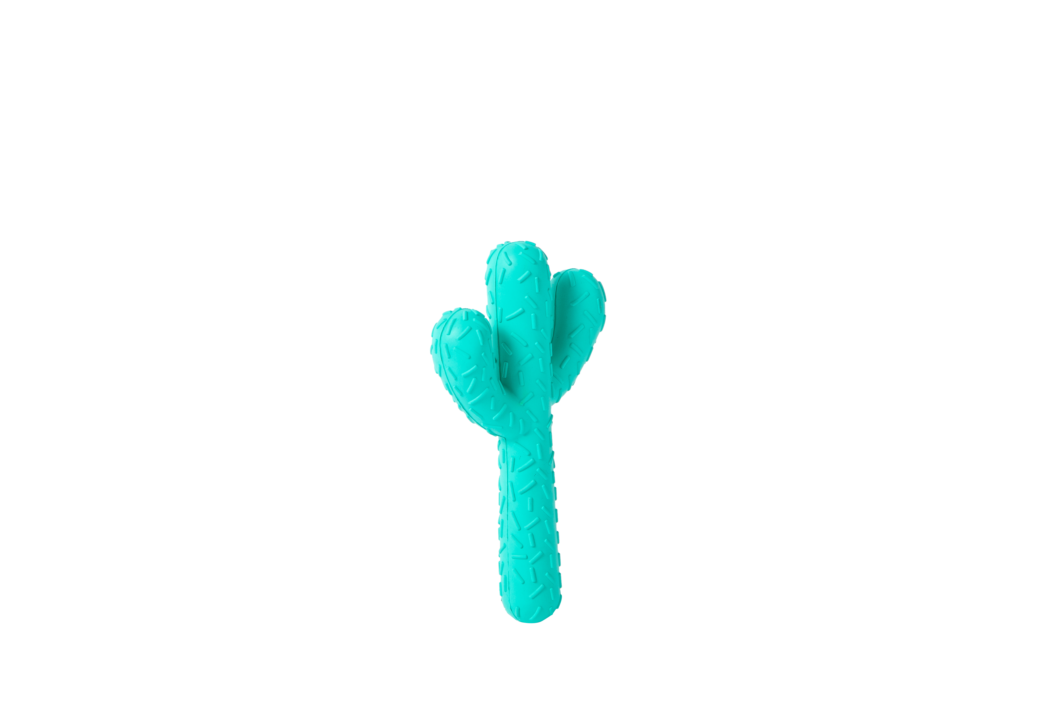 Rubber Cactus Toy